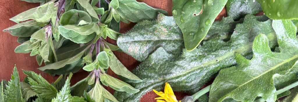 Recarga Tu Energía de Forma Natural con Vitaminas y Minerales presentes en la naturaleza