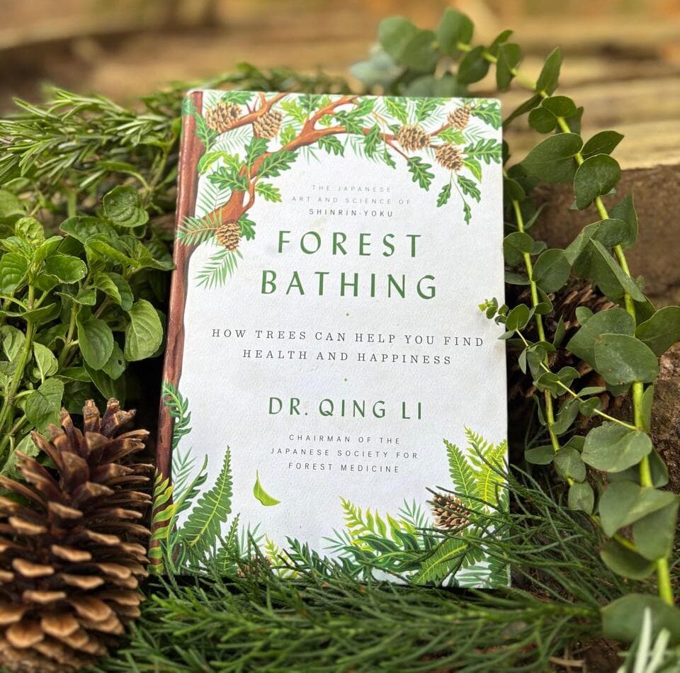 🌲 Forest Bathing: el arte de sanar con los sentidos