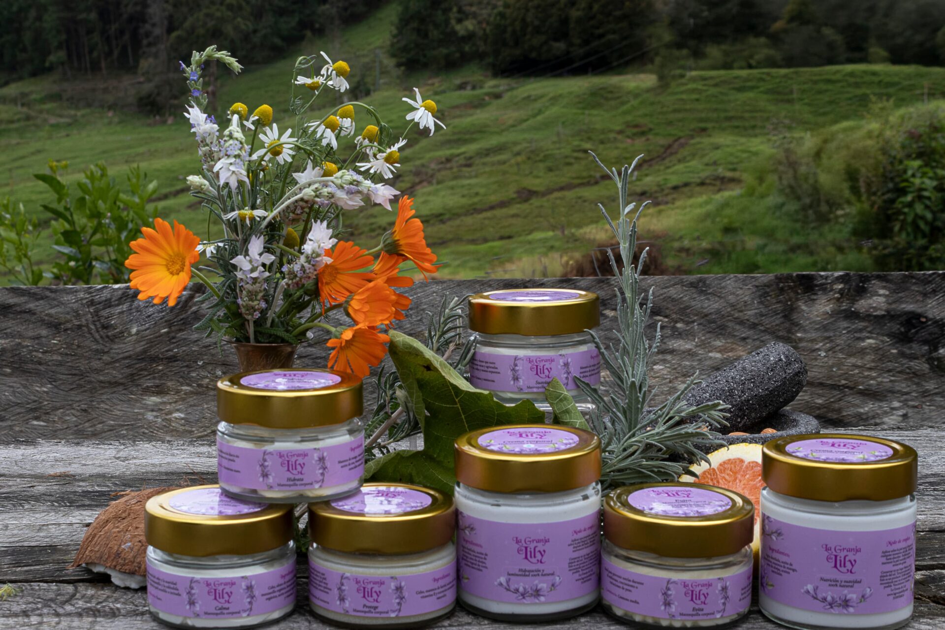 Crema Corporal - Nutrición y Suavidad - Image 4