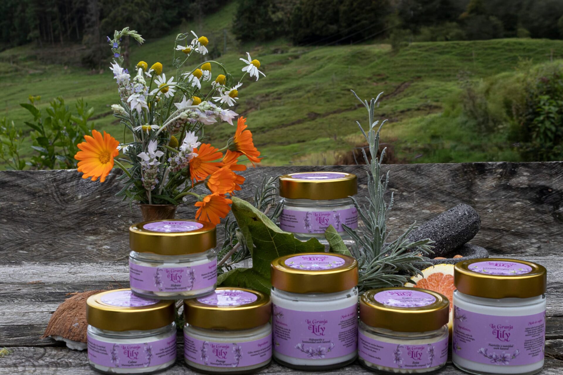 Crema Corporal - Nutrición y Suavidad - Image 4