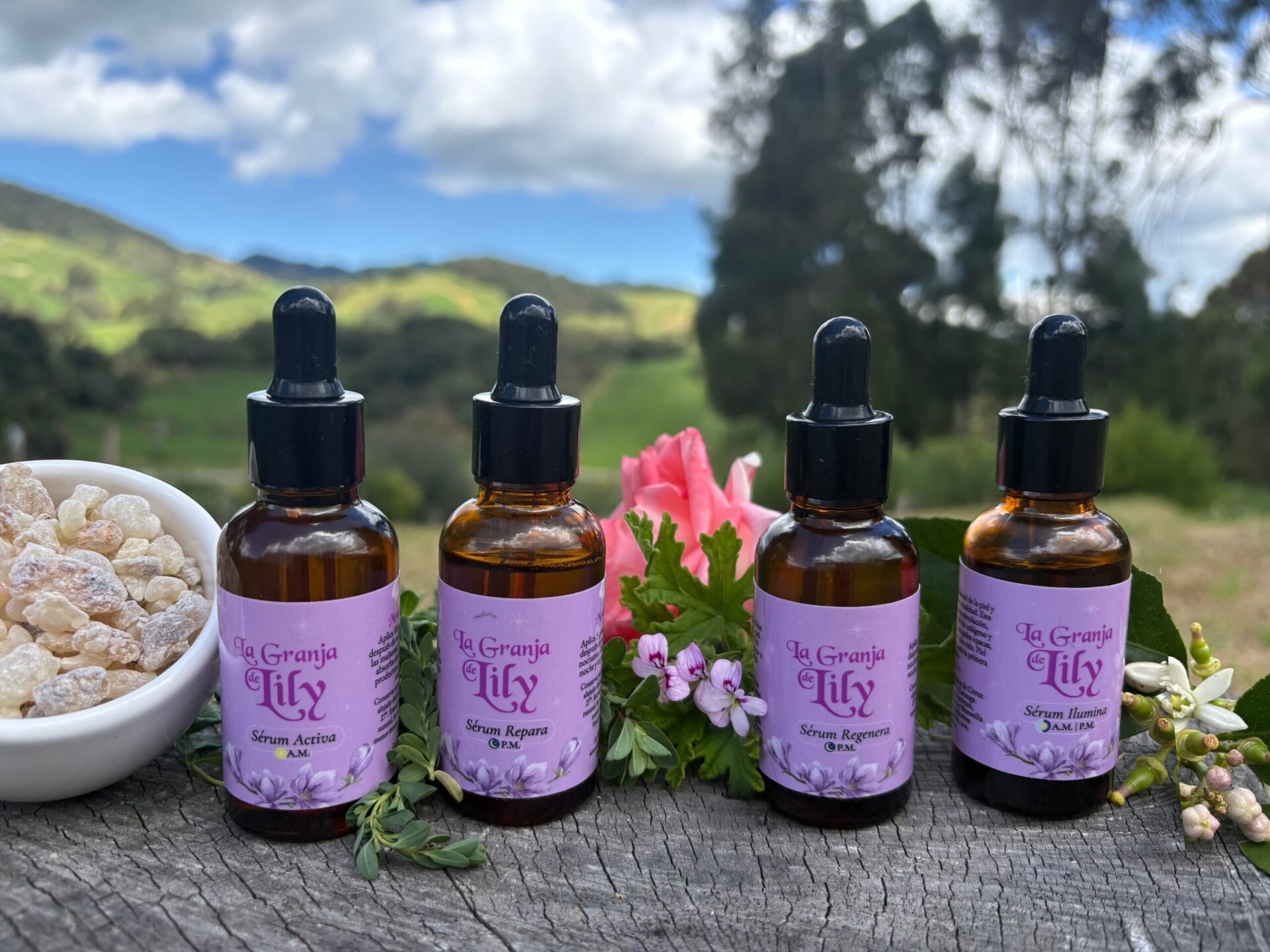 Serum Facial Repara - Image 3