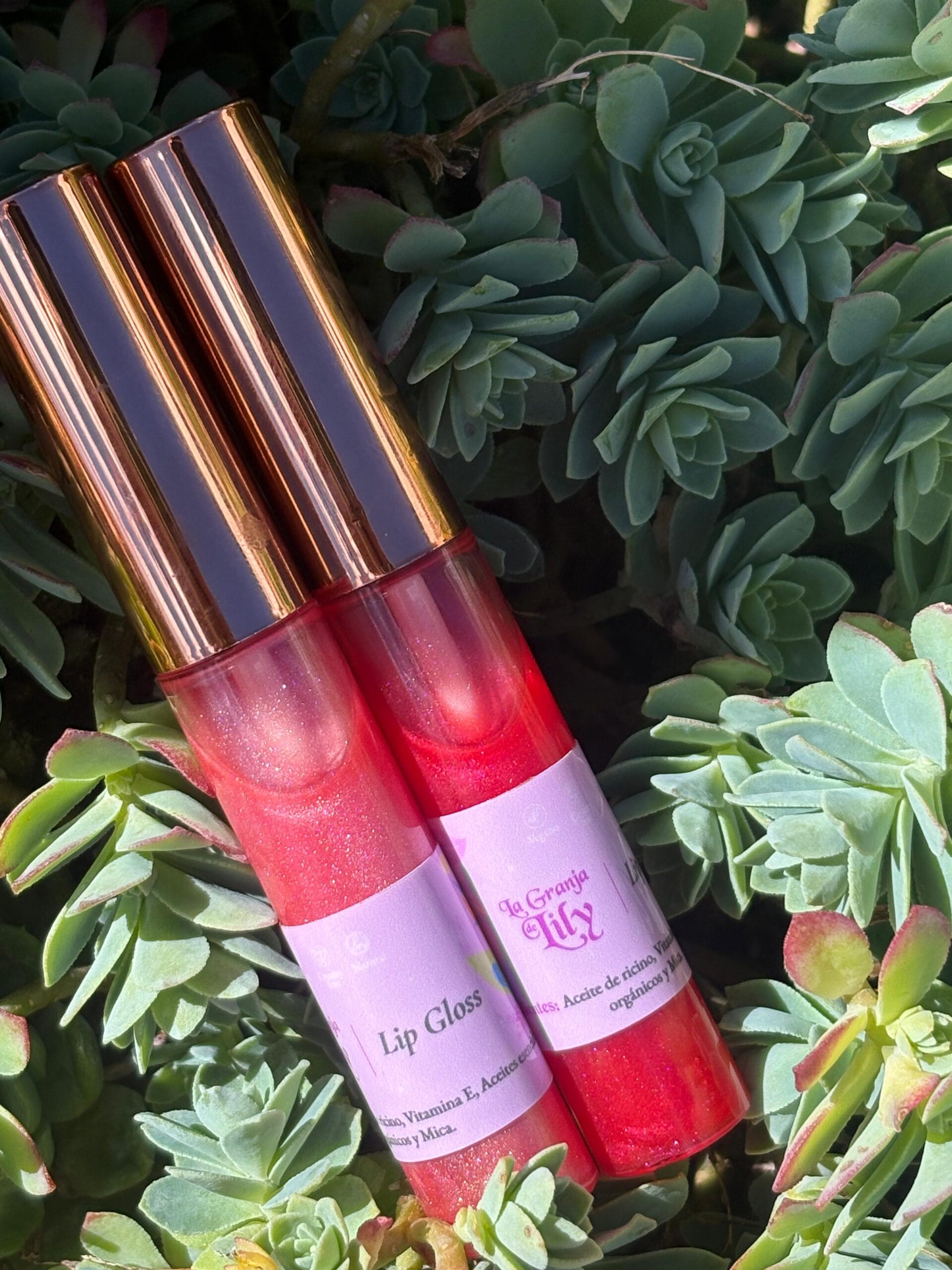 Lip Gloss - Image 3