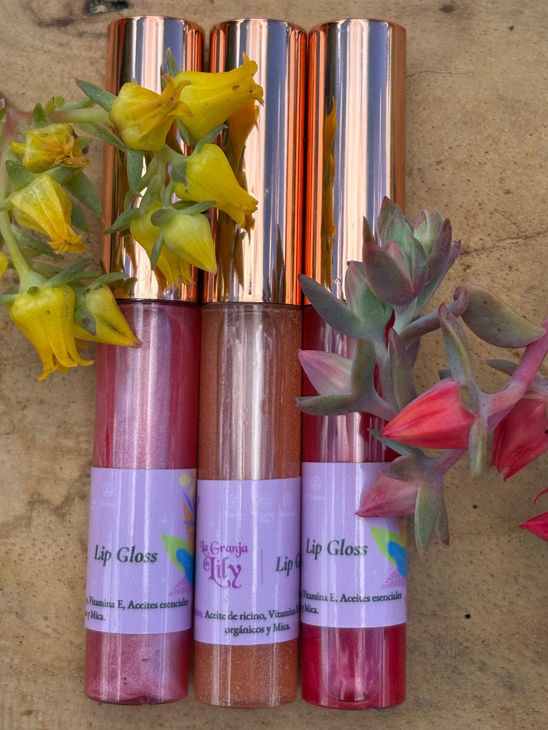 Lip Gloss - Image 2
