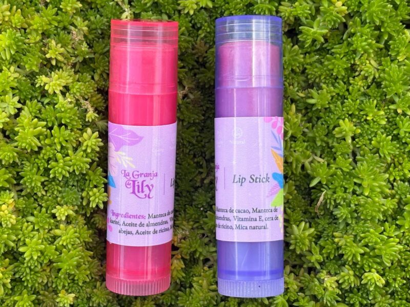 Lip Stick - Bálsamo labial en barra