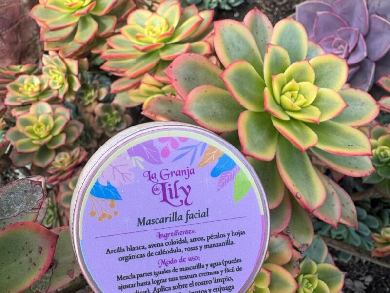 Mascarilla Facial con pétalos de flores
