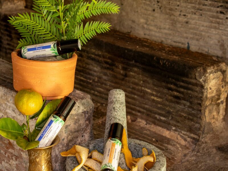 Trio Rollers Desarrolla tu Mente