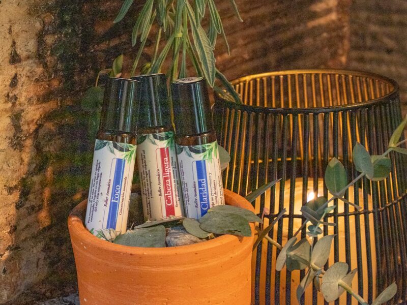 Trio Rollers Clara+Mente