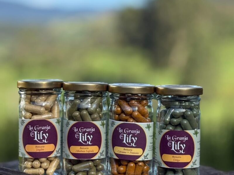 Plantas orgánicas en cápsula