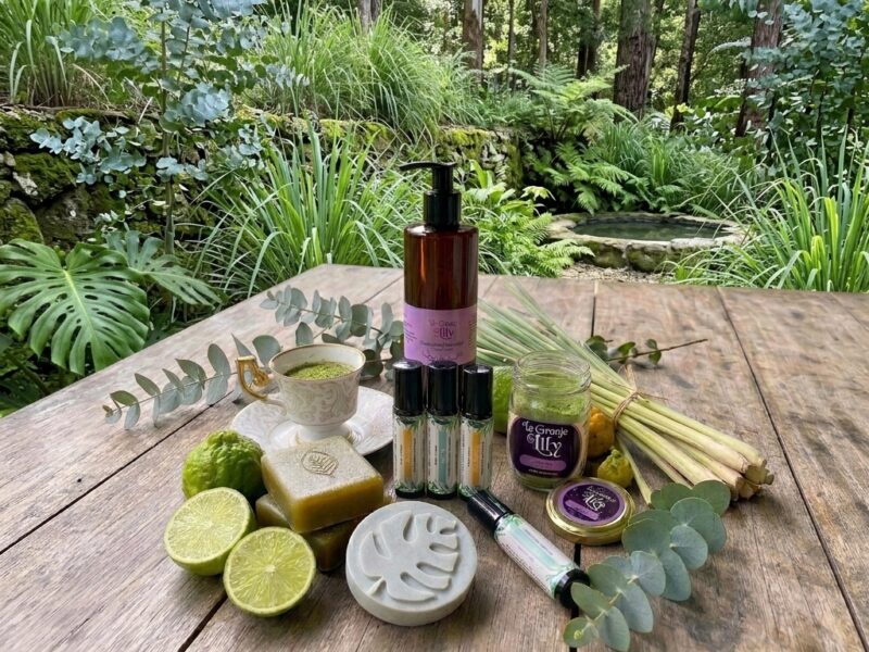 Kit Frescos & Cítricos: Frescura, claridad y ligereza