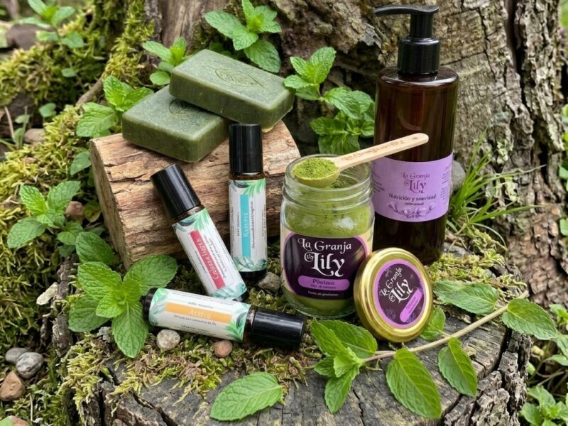 Kit Menta: Frescura, alivio y claridad.