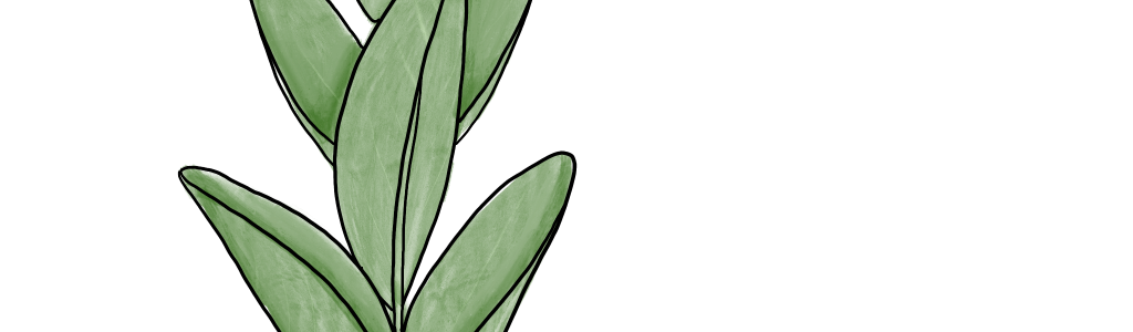 Eucalipto