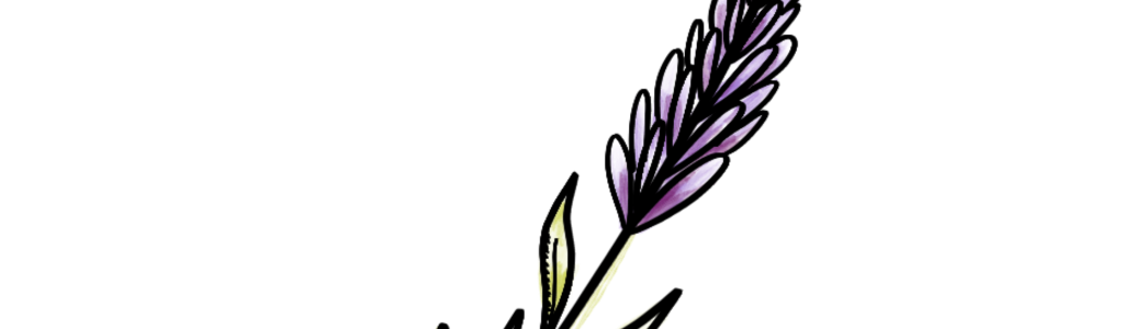 Lavanda