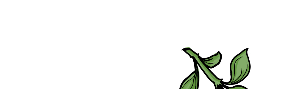 Oregano