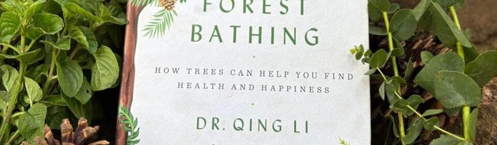 Ritual del Bosque Forest bathing